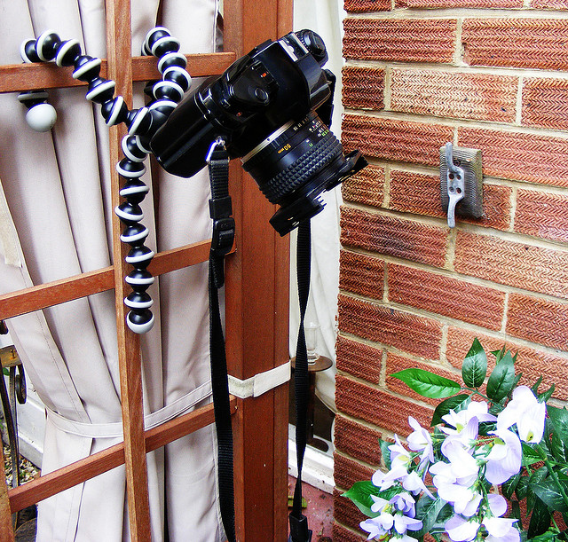 Joby Gorillapod SLR wrapped around part of a trellis with camera mounted