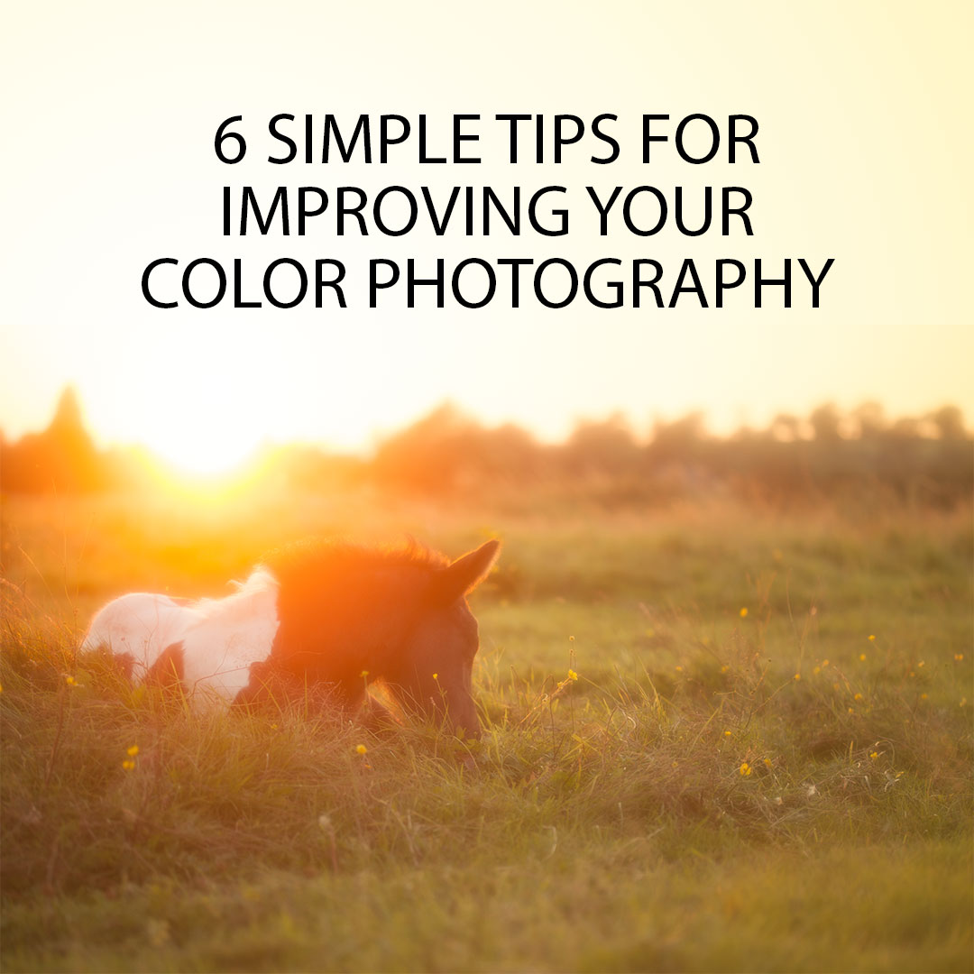 6 Simple Tips For Improving Your Color Photography