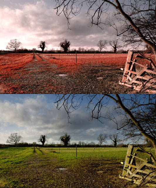 Example of image modified using channel mixer to give unusual colors. Top image is modified version, with red-brown grass. Bottom is the original with green grass.