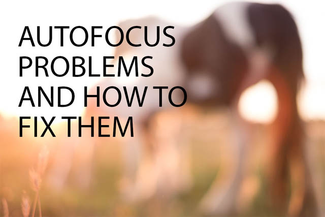 Autofocus problems and how to fix them