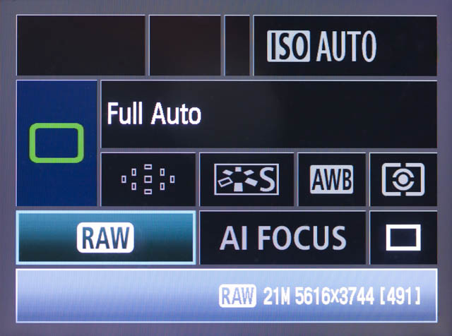 With this particular camera you change the image quality (RAW / JPEG) and drive mode (single shot or continuous shooting) in Auto mode, but nothing else.