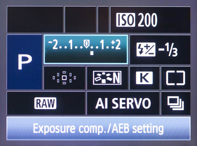 In Program Auto (P) Mode, while the camera still chooses the aperture and shutter speed settings automatically, all the other settings are adjustable