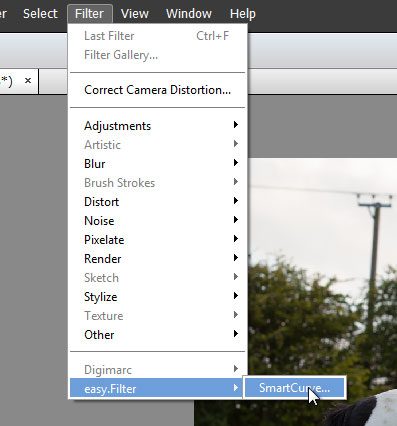 Location of RGB curves adjustment in Photoshop Elements