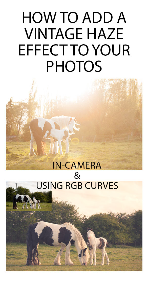 How to add a vintage haze effect to your photos Discover Digital