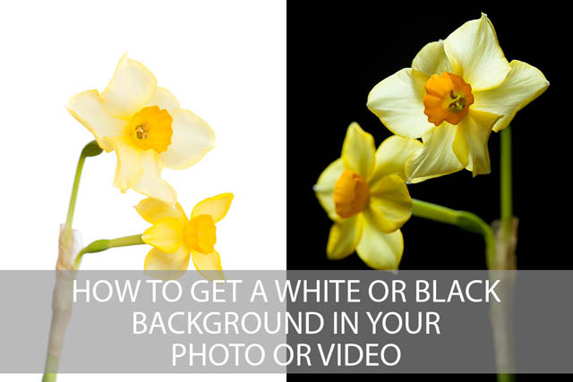 How to get a white or black background in your photo or video