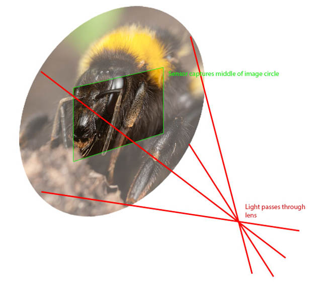 Image circle size with extension is much larger