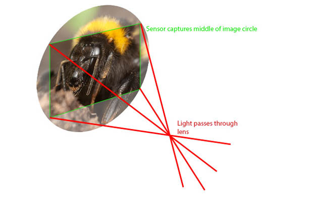 A standard lens without any extra extension will project an image circle slightly larger than the sensor