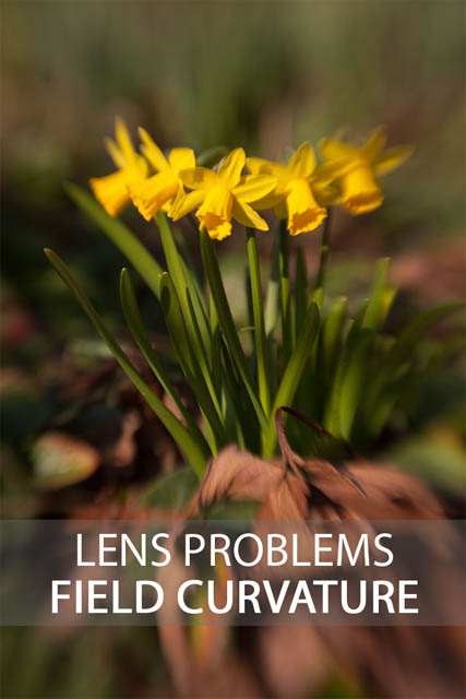 Lens Problems - Field Curvature