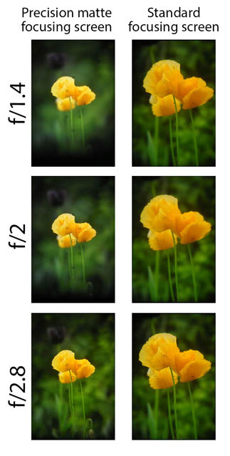 Comparison between a standard focusing screen and precision focusing screen for DSLRs. The standard focusing screen shows the same depth of field at f/1.4 - f/2.8. Whereas the precision focusing screen shows the difference in depth of field between apertures correctly.