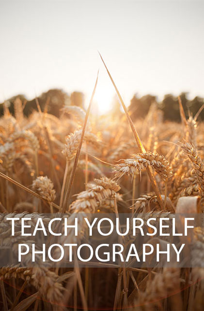Teach Yourself Photography