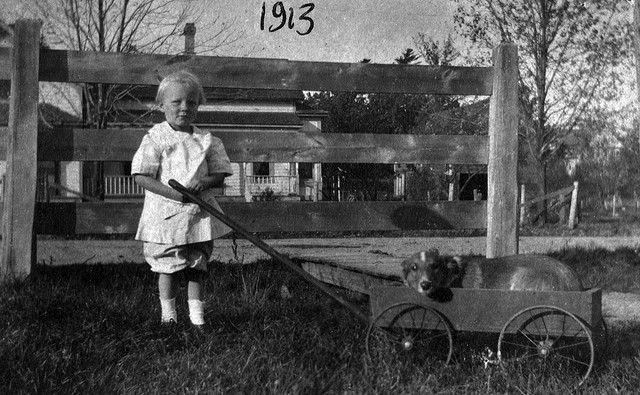 Child with a dog in a cart, 1913 in Bayport. Photo taken with a Kodak box brownie camera.