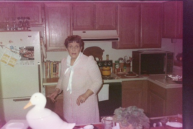 Found photo of a woman looking surprised in a kitchen with a plastic or porcelain white duck in the foreground