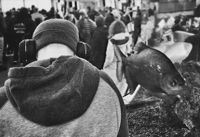 Man and fish, Staten Island Ferry Terminal