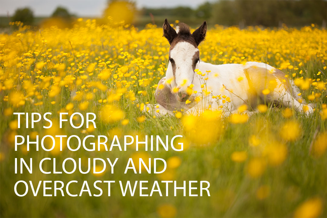 Tips for photographing in cloudy and overcast weather