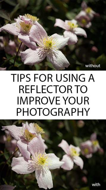 Tips for using a reflector to improve your photography
