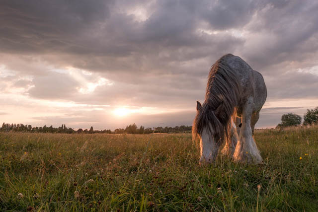 Image exposed for sky with shadows pulled up to brighten foreground and horse