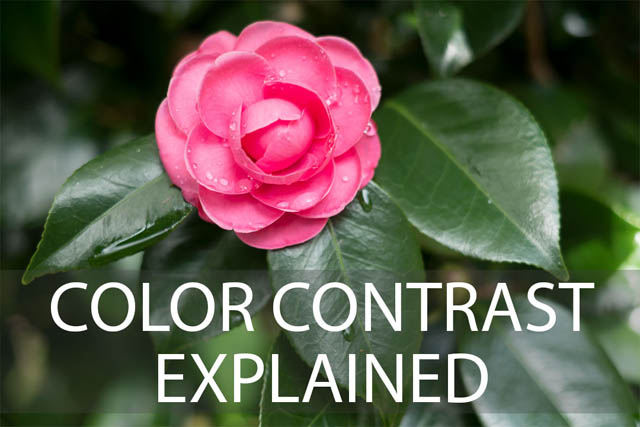 color contrast photography