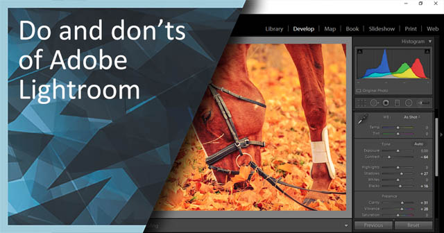 Do and Don'ts of Adobe Lightroom