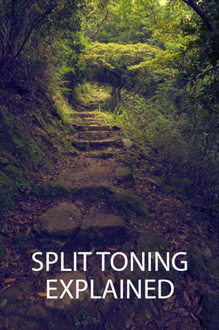 Split Toning Explained