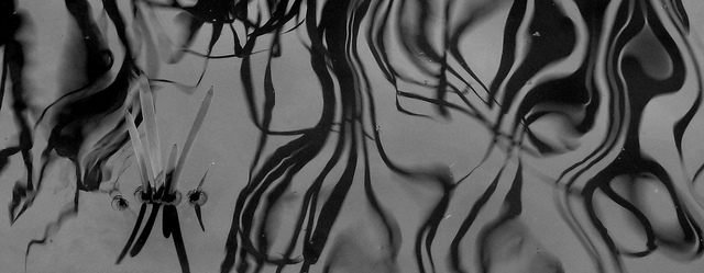 Water abstract