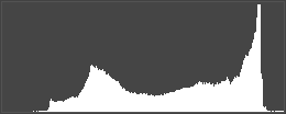 Histogram for the above low contrast image