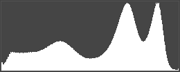 Histogram for the above normal contrast image