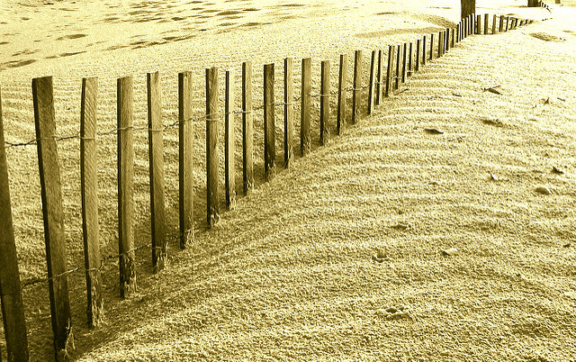 A fence sticking up through a sand dune, covered by sand to varying degrees.