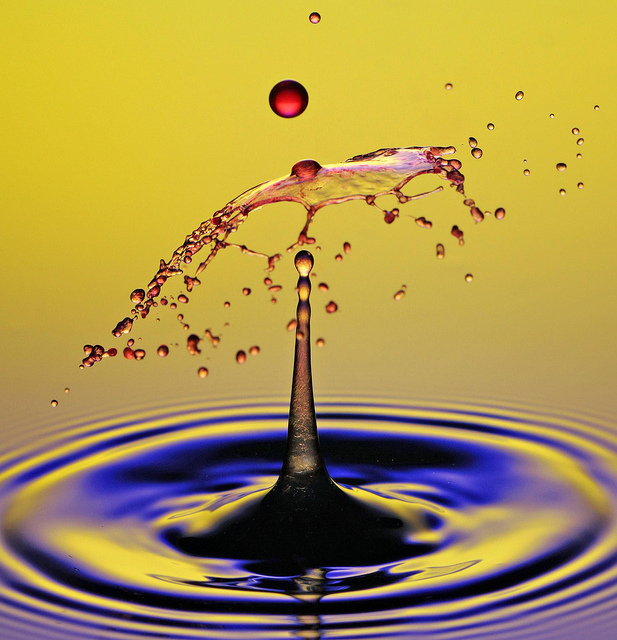 Water splash high speed photo captured using two speedlight flashes at 1/32 power