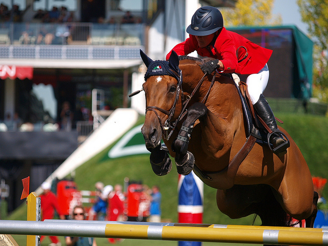 Horse Show Jumping at Spruce Meadows - a Straight out of camera (SOOC) photo