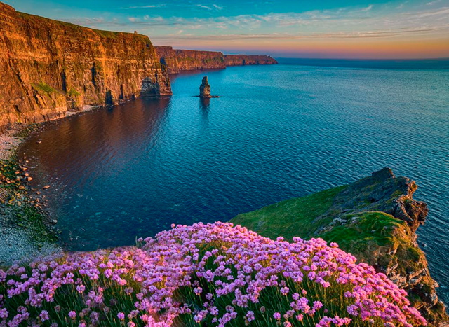 Photo taken from a cliff top with bright pink flowers in the foreground and cliffs in the distance, lit by the setting sun